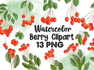 Watercolor Berries Clipart, Rosehip