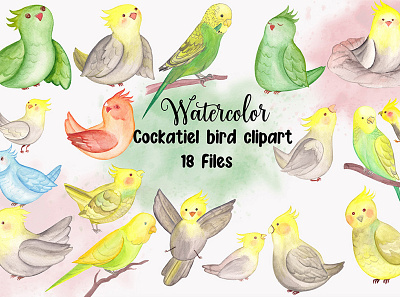 Watercolor Cockatiel Parrot Clipart graphic design nature realistic parrot clipart watercolor bird