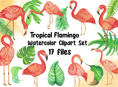 Tropical Flamingo Watercolor Clipart flamingo sublimation graphic design watercolor