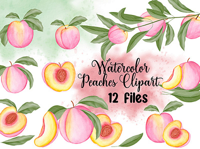 Watercolor Peaches Clipart graphic design peach pattern