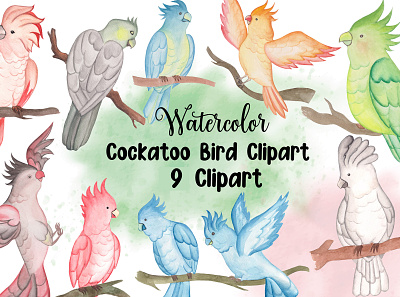 Watercolor Cockatoo bird Clipart baby bird
