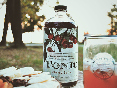 Tonic Label bottle branding logo packaging packaging design product label vintage
