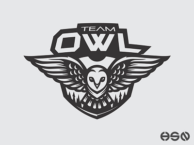 Team OWL