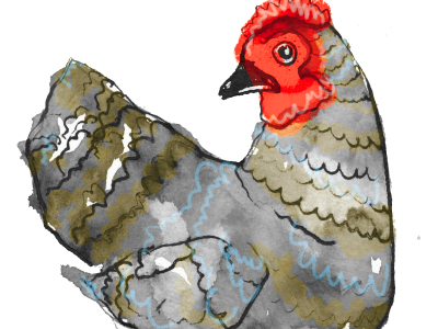 The Illustrative Chicken illustration