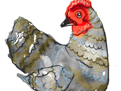 The Illustrative Chicken