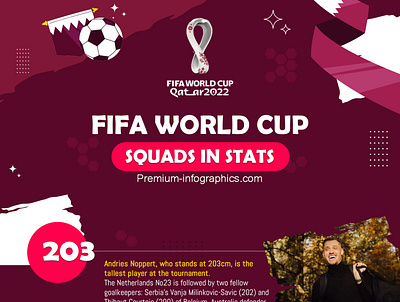 FIFA World Cup Stats Infographic design fifa graphic design infographic world cup