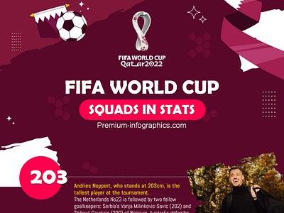 FIFA World Cup Stats Infographic