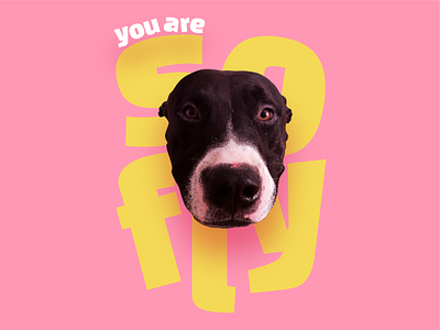 You're So Fly branding character design digital dog poster quote quotedesign typedesign typography typography logo vector