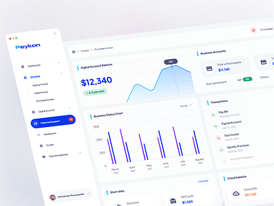 Peykan finance dashboard ui design