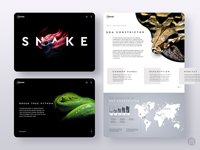 Animals Website Consept Design adobe android animal animals app creative design graphic design interface ios minimal photoshop snake snakes ui uidesign userinterface ux uxdesign webdesig