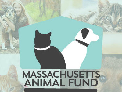 Massachusetts Animal Fund Annual Report Brochure branding brochure graphs info design print report web
