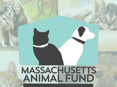 Massachusetts Animal Fund Annual Report Brochure