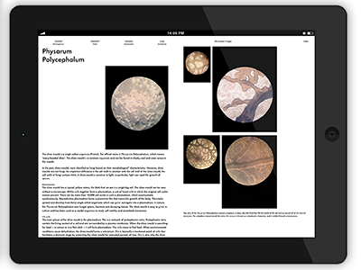 Form Follows Organism e-book book design e book ebook epub graphic hybrid publication publishing