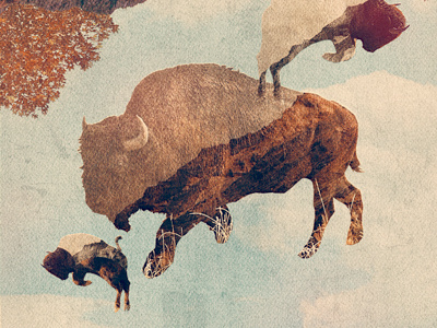 Mr. Bison collage illustration vintage