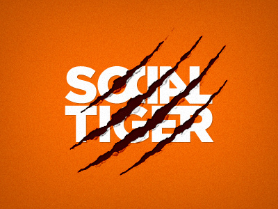 SocialTiger logo scratch tiger typography