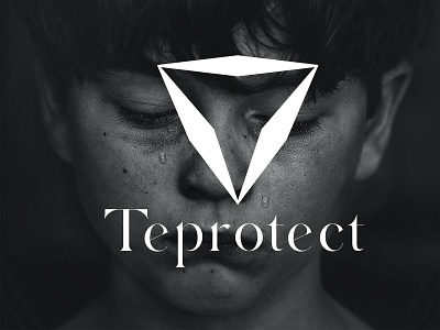 Teprotect Logo Branding.