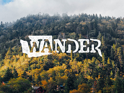 WAnder design hand lettering typography