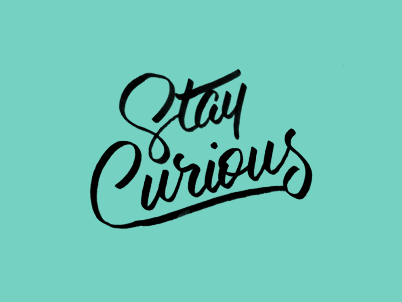 Stay Curious animation design hand lettering typography