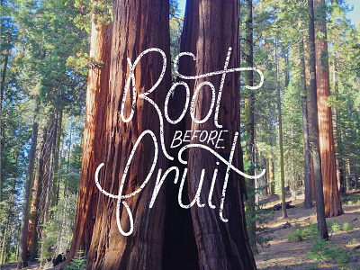 Root Before Fruit design hand lettering typography