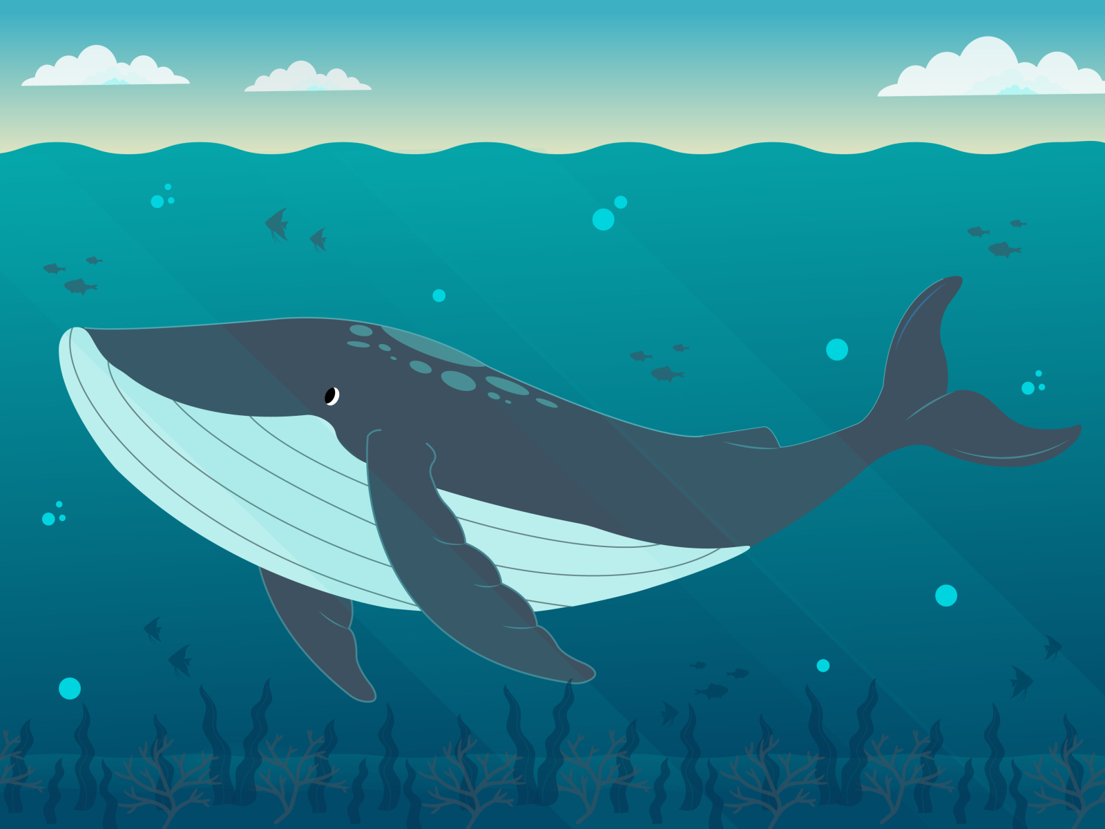 Humpback whale by Eman Shafik on Dribbble