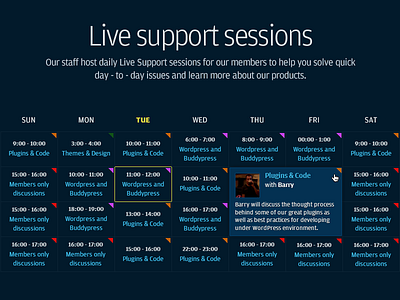 Live Support Timetable dark support timetable wordpress wpmu dev
