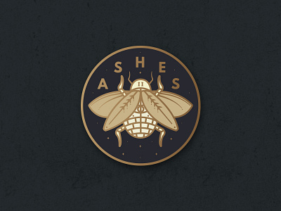 Ashes to Ashes ashes bug illustration illustrator occult pin