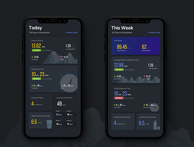 Expedition Tracker without Graphs ui ui design