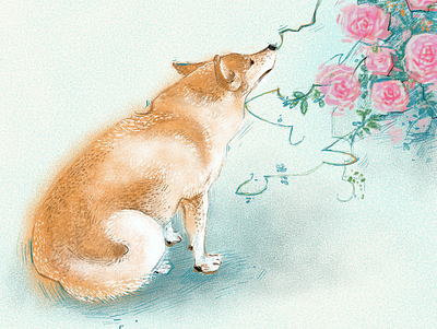 Shiba inu digital art dog illustration procreate shiba inu