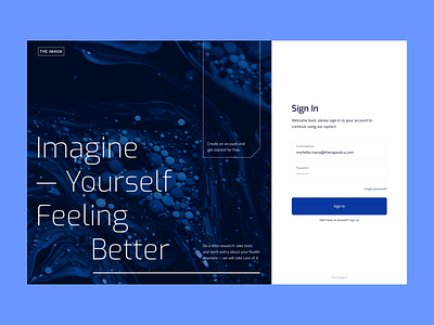 Sign in and Filters flows animation dashboard filters flow first screen health healthcare medicine mentalstack multi filter product design promo sign in typography users video website