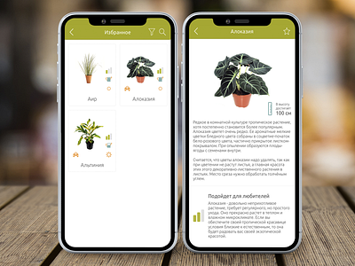Home Plants android application care design development floral flowers information interaction interface tree