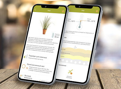 Home Plants care design figma floral floral care information interface mobile app plants plants app