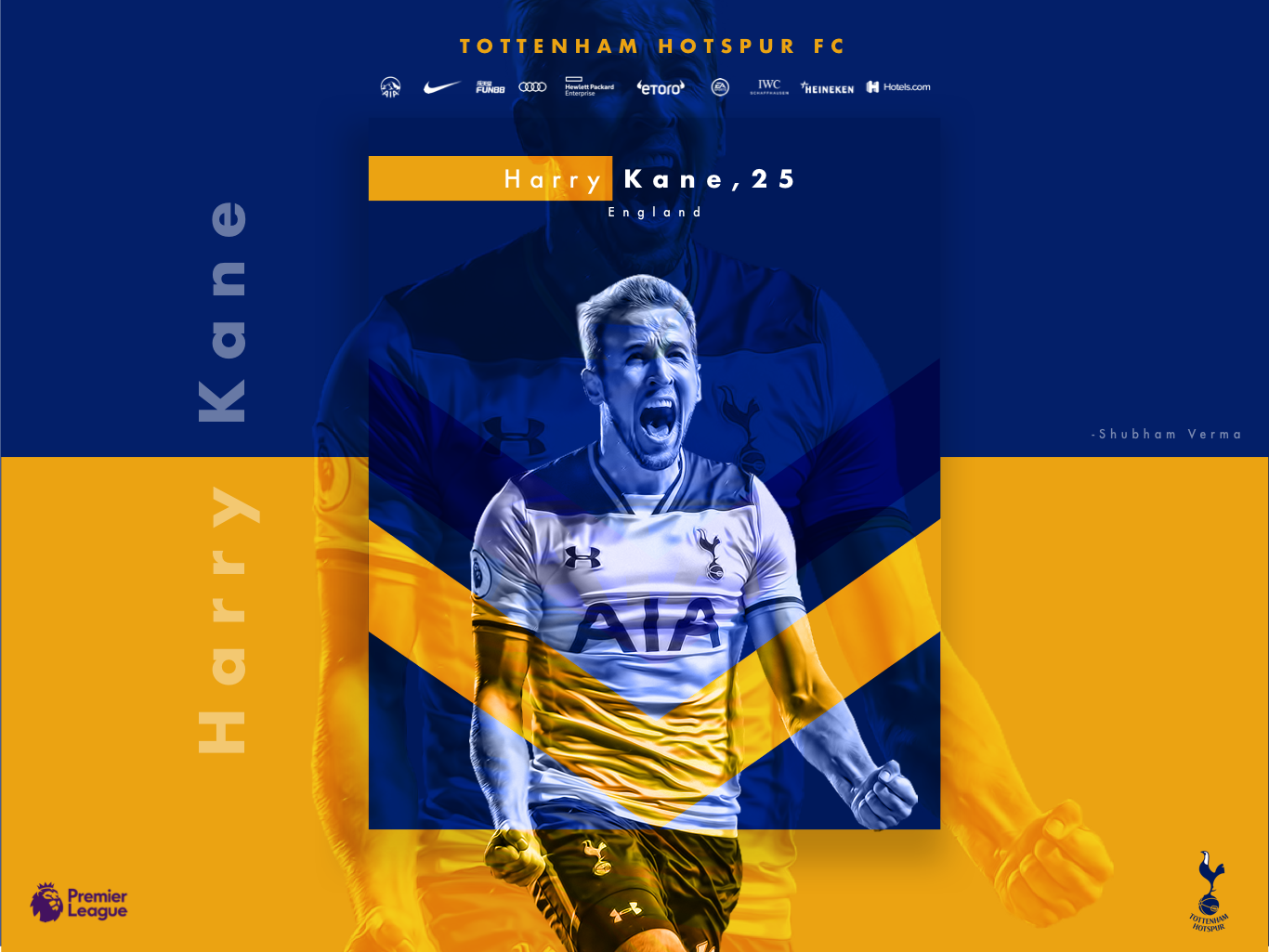 Poster, Quadro Tottenham Hotspur FC - Kane em