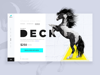 Landing Page - Horse Riding colors design photography typography ui ui ux design ux web