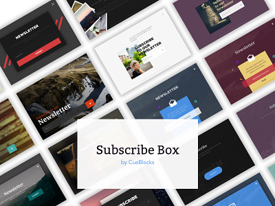 Subscribe Box - Free Kit ecommerce free kit newsletter subscribe subscribe box ui ux
