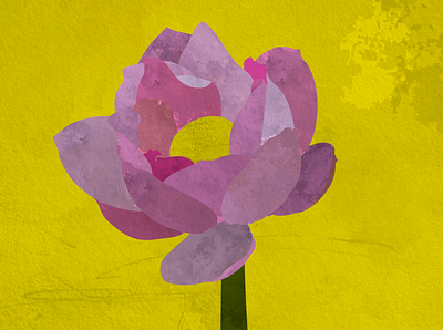 Background for Zoom Callers background grunge lotus lotus flower lotus logo magenta purple rose rough style yellow