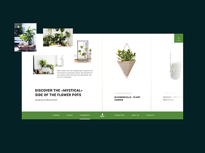 E-commerse concept - Plants and pots concept e commerce horizontal scroll plants product catalog ui ux