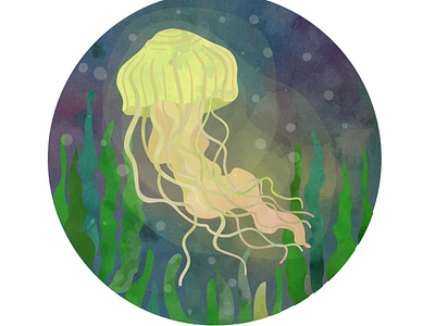 Jellyfish