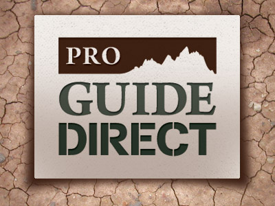 Pro Guide Direct Logo brand design logo outdoors work