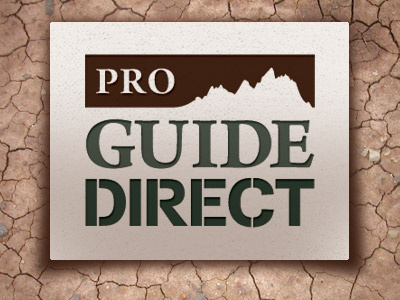 Pro Guide Direct Logo logo design brand outdoors work
