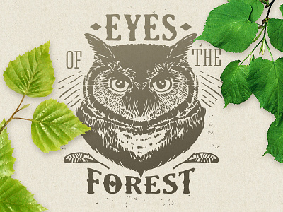 Eyes of the forest animal badges emblem labels logo owl