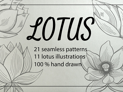Lotus illustration and patterns design illustration lotos lotus vector