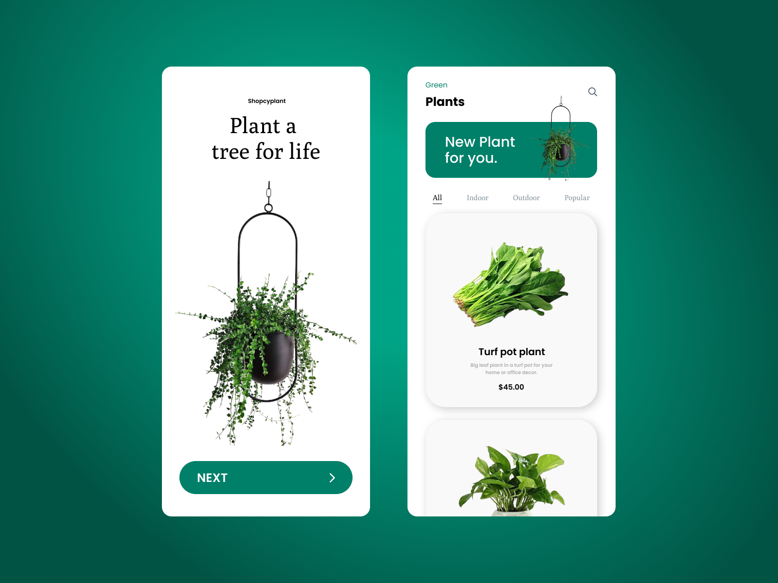 plant-app-designs-by-najma-khan-on-dribbble