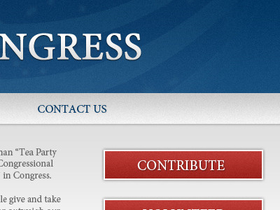 Teaser for a Congressional Candidate's Site clean modern noise political