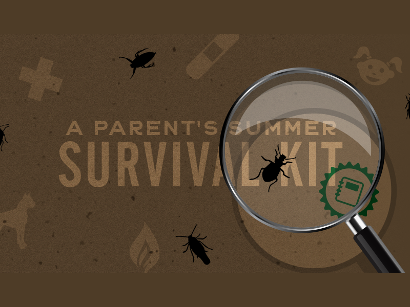 Summer Survival Kit bandaid magnifying glass survival parents kid bugs social pittsburgh actual size summer