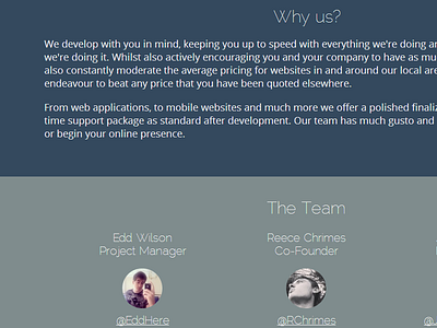 Lower Bluloop Homepage clean company css developers development flat html team ui website