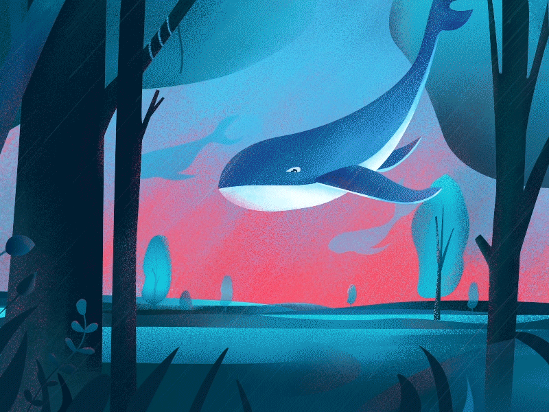 Illustrator “Dreamy Whale ” animation dream forest illustration landscape light rain whale