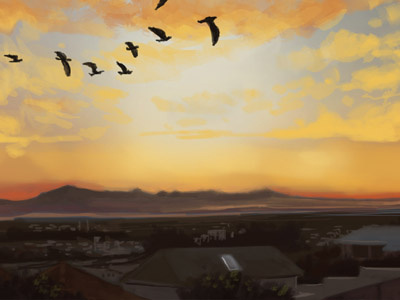 Great migration art birds colors concept design illustration music sketch sunset warm