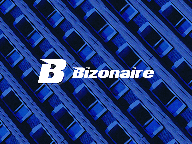 Bizonaire Logo