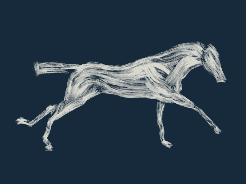 Horse after animals brush illustration motion procreate rotoscoping
