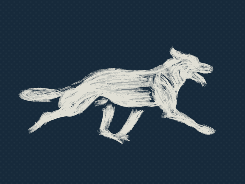 Wolf after animation brush illustration motion procreate rotoscoping wild